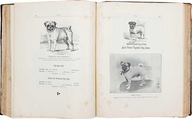 [Байланд Анри де. Породы собак. Их происхождение, оценки, описания, типы, качества, особенности и недостатки. В 2 ч.], 1897